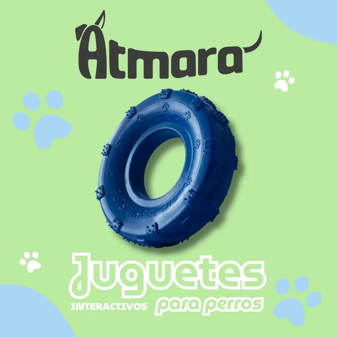 Llanta XL