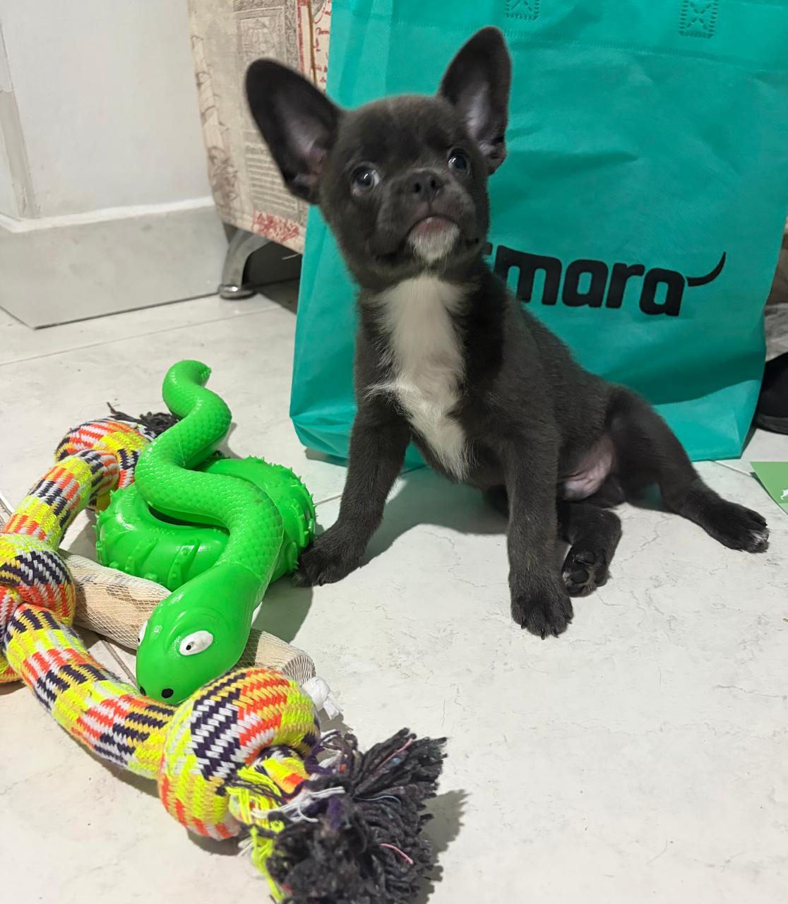 Kenji con sus juguetes Atmara